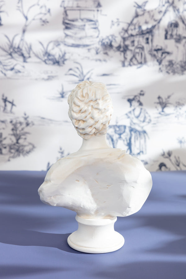 Carraig Donn Ameile Bust