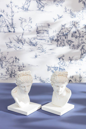 Carraig Donn Ameile Bust Bookends