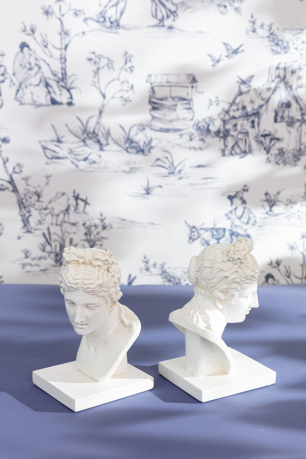 Carraig Donn Ameile Bust Bookends