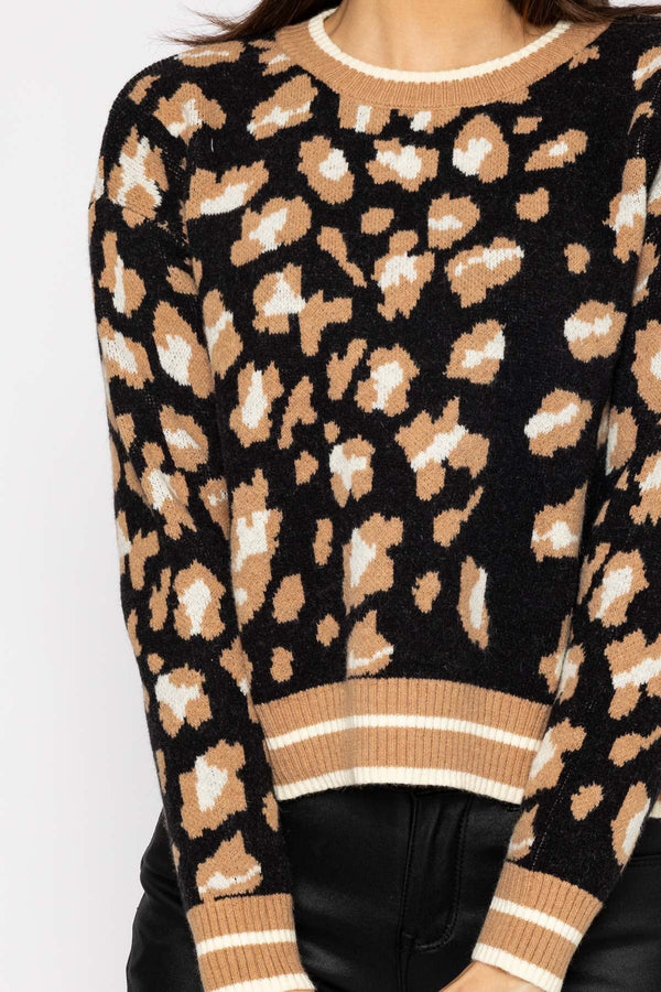 Carraig Donn Animal Knit in Black