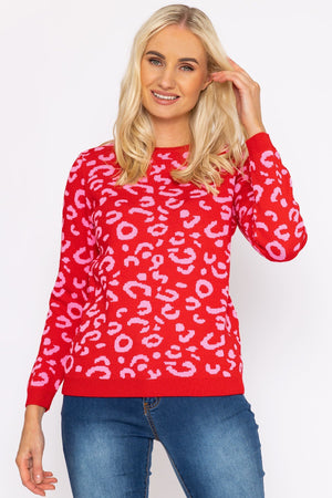 Carraig Donn Animal Print Jumper in Pink