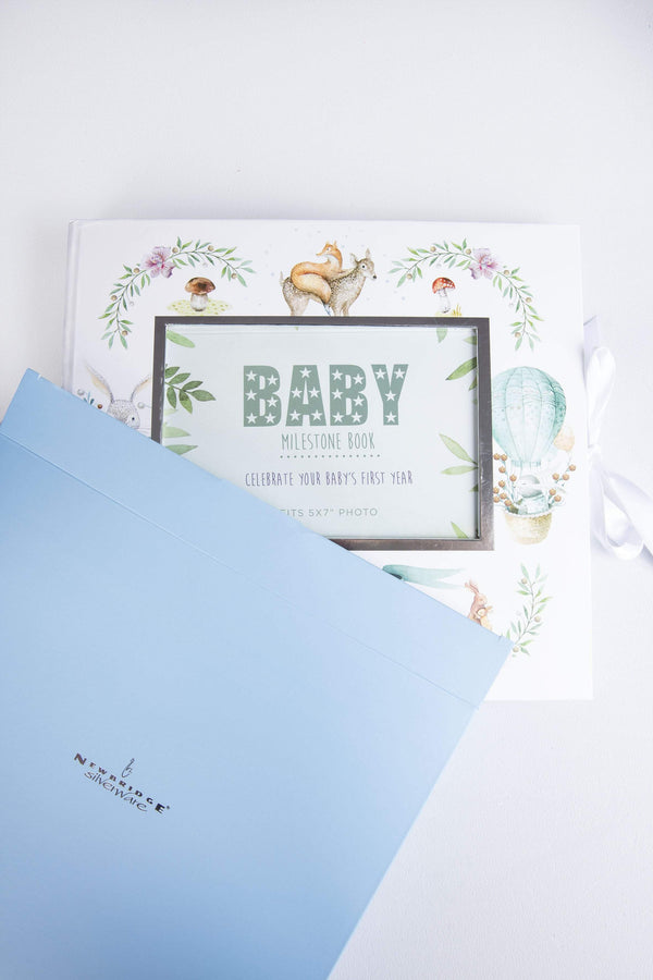 Carraig Donn Baby Milestone Book