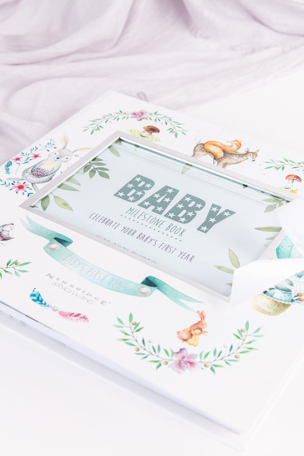Carraig Donn Baby Milestone Book