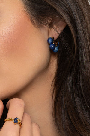 Carraig Donn Blue Lapis Beaded Earrings