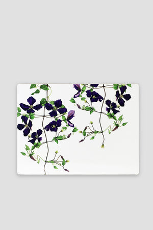 Carraig Donn Botanical Cork Backed Placemats S/6
