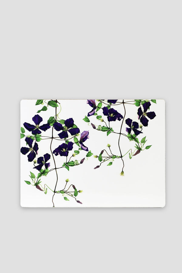 Carraig Donn Botanical Cork Backed Placemats S/6