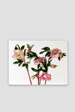 Carraig Donn Botanical Cork Backed Placemats S/6