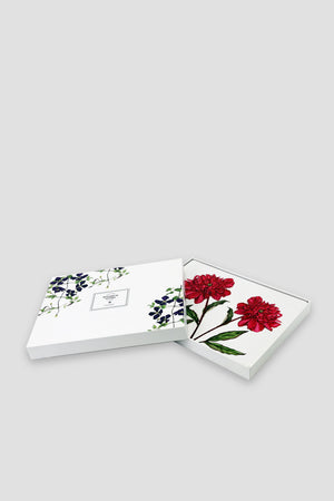 Carraig Donn Botanical Cork Backed Placemats S/6