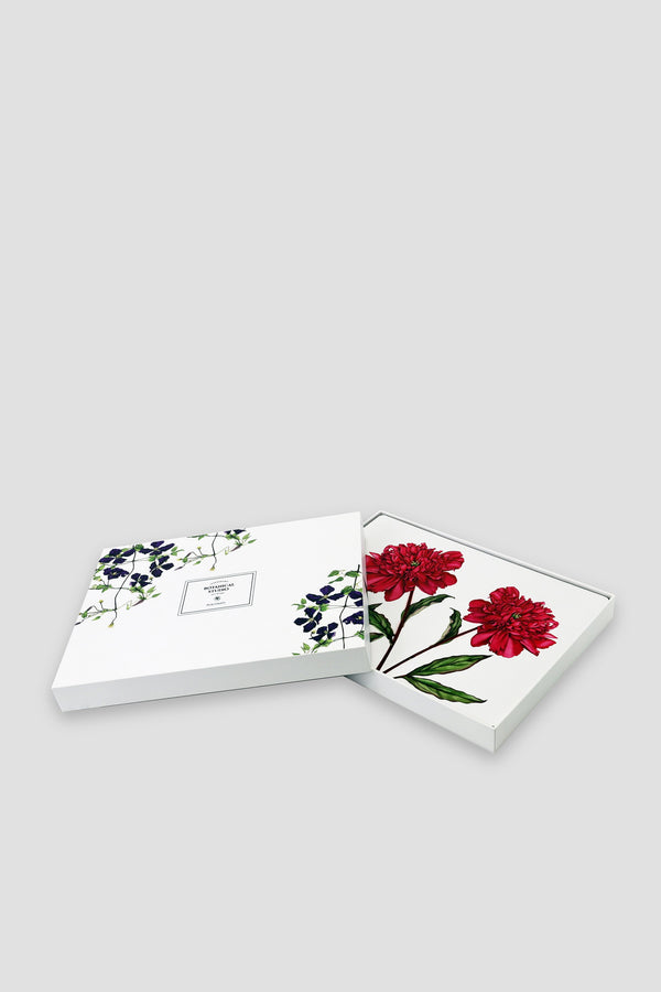 Carraig Donn Botanical Cork Backed Placemats S/6
