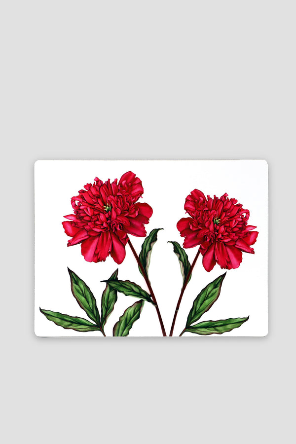 Carraig Donn Botanical Cork Backed Placemats S/6