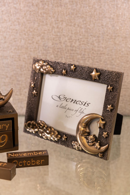 Bronze Moon and Teddy Photo Frame