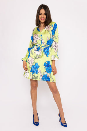 Carraig Donn Carolina Green Knee Length Dress