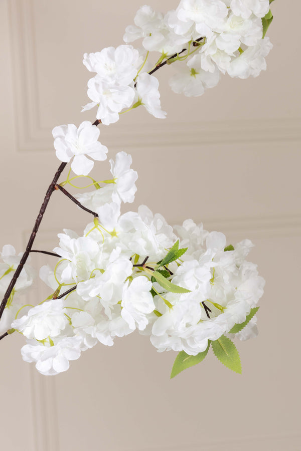 Carraig Donn Cherry Blossom Tree