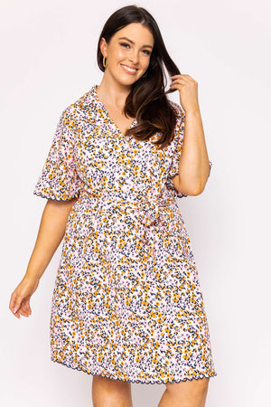 Carraig Donn Curve - Ariella Dress in Multi