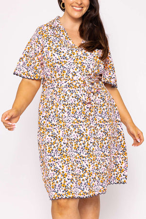 Carraig Donn Curve - Ariella Dress in Multi