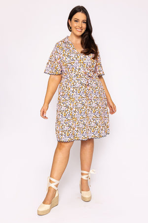 Carraig Donn Curve - Ariella Dress in Multi