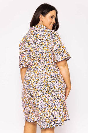 Carraig Donn Curve - Ariella Dress in Multi