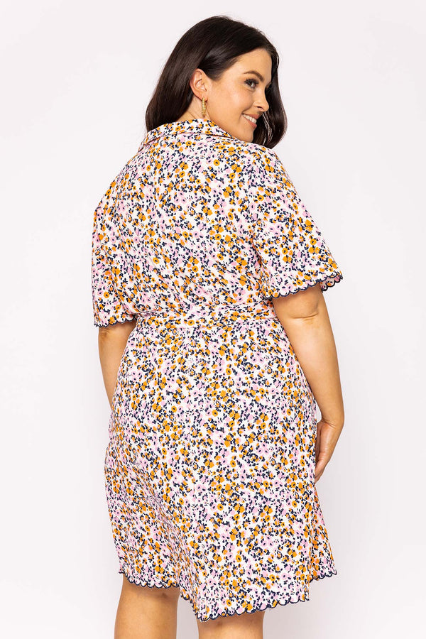 Carraig Donn Curve - Ariella Dress in Multi