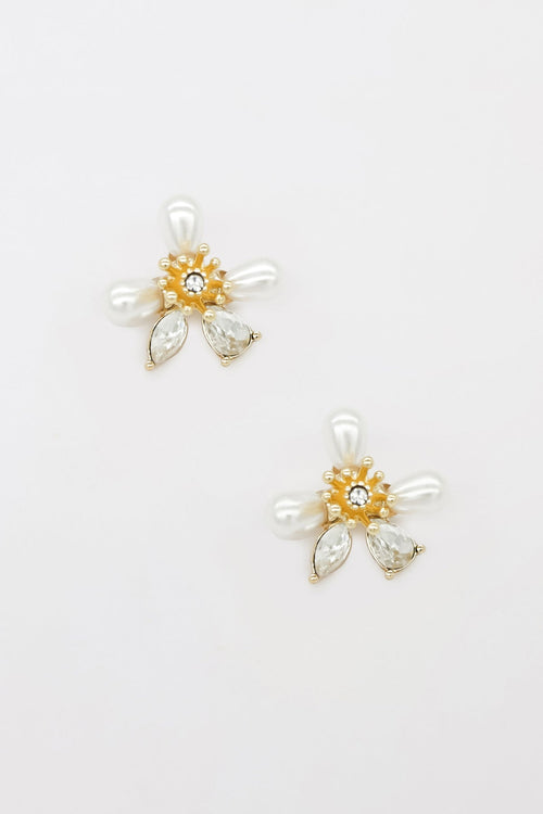 Carraig Donn Daisy Earrings in Gold