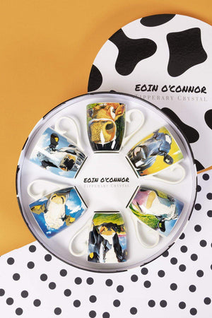 Carraig Donn Eoin O'Connor Set Of 6 Mugs in Hatbox