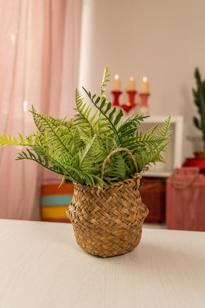 Carraig Donn Faux Fern Plant In Basket