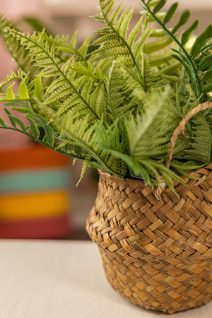 Carraig Donn Faux Fern Plant In Basket