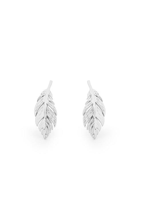 Feather Stud Earrings in Silver