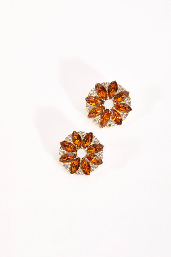 Carraig Donn Floral Earrings
