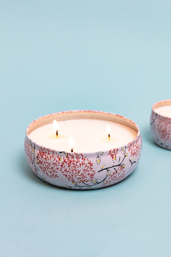 Carraig Donn Grapefruit & Currant Large Travel Candle