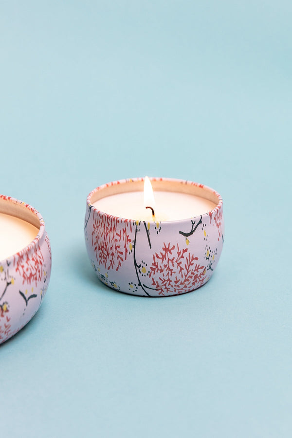 Carraig Donn Grapefruit & Currant Small Travel Candle