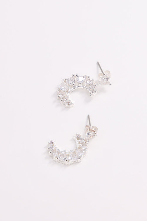 Heart Earrings in Silver