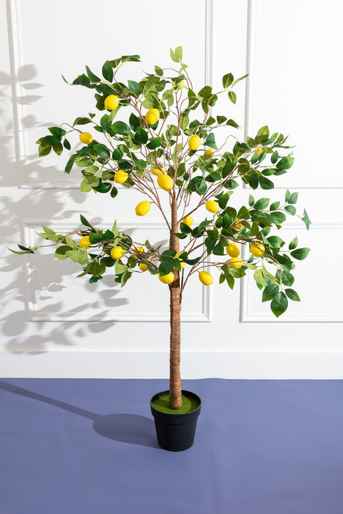 Lemon Tree
