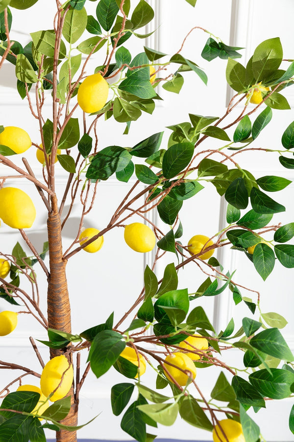 Carraig Donn Lemon Tree
