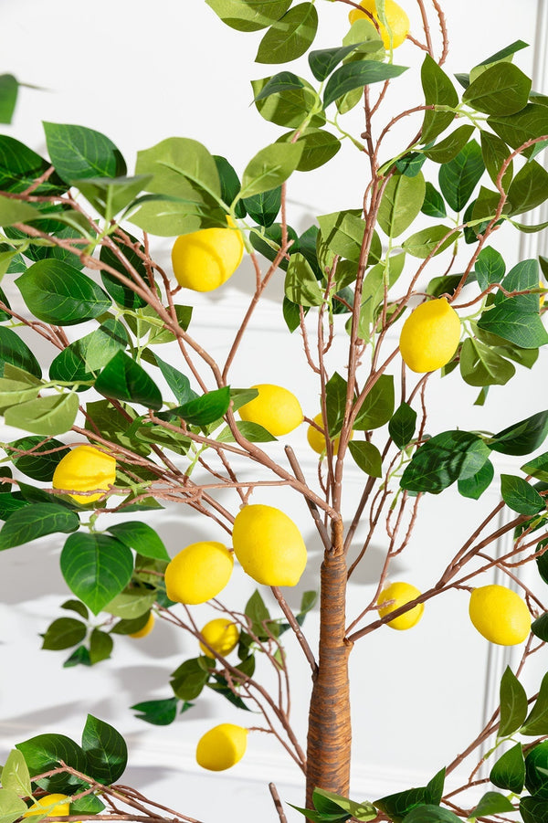 Carraig Donn Lemon Tree