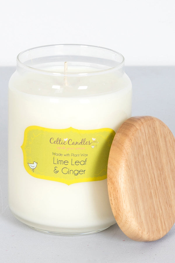 Carraig Donn Lime Leaf and Ginger Fragrance Diffuser