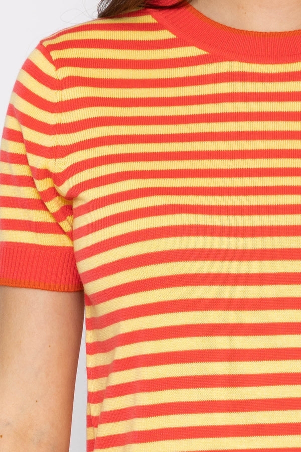 Carraig Donn Merino Stripe Crew in Coral