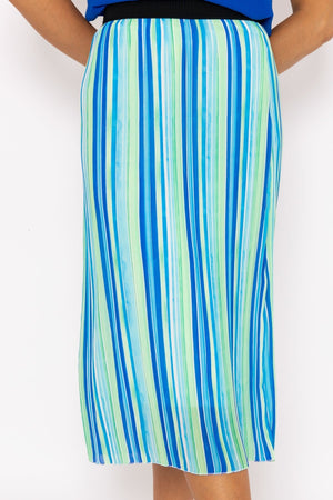 Carraig Donn Midi Pleated Skirt in Blue Print