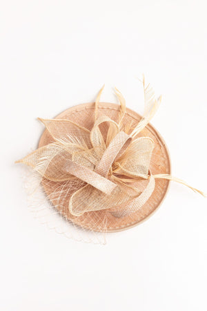 Carraig Donn Net & Feather Fascinator in Taupe