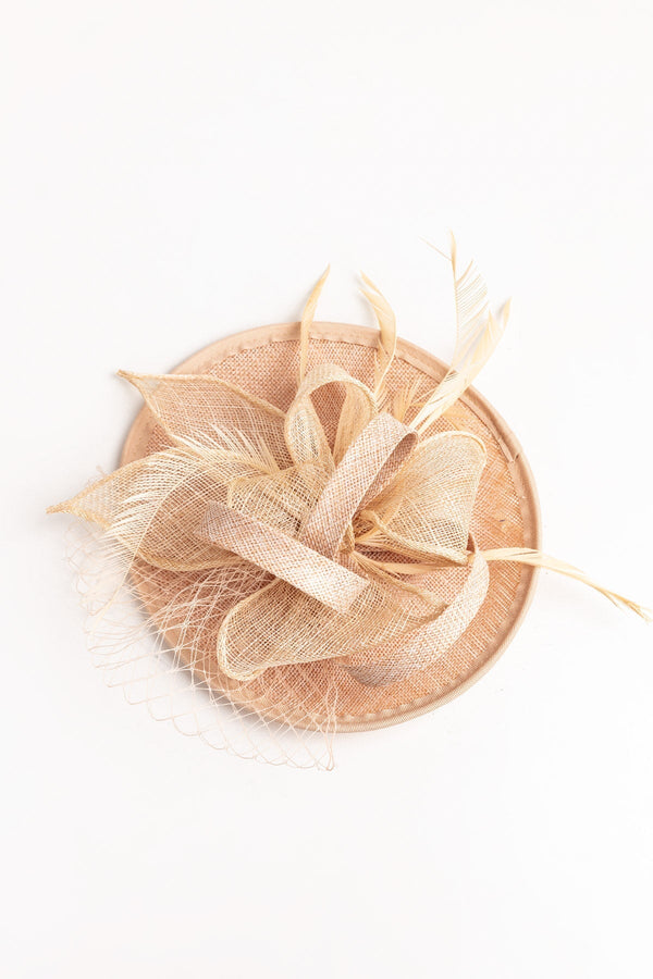 Carraig Donn Net & Feather Fascinator in Taupe