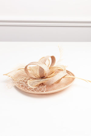 Carraig Donn Net & Feather Fascinator in Taupe