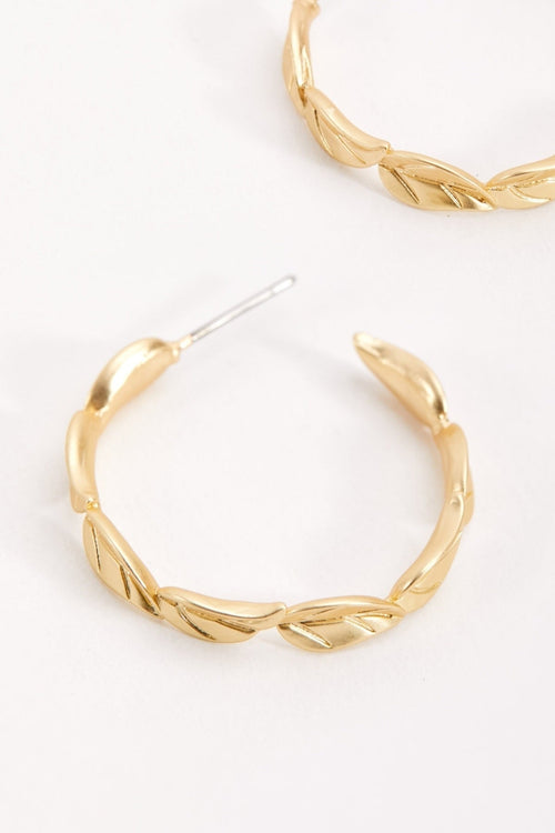 Carraig Donn Open Hoop Leaf Earrings