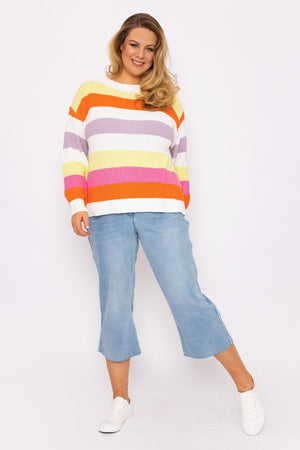Carraig Donn Oversized Striped Knit Sweater in Multi