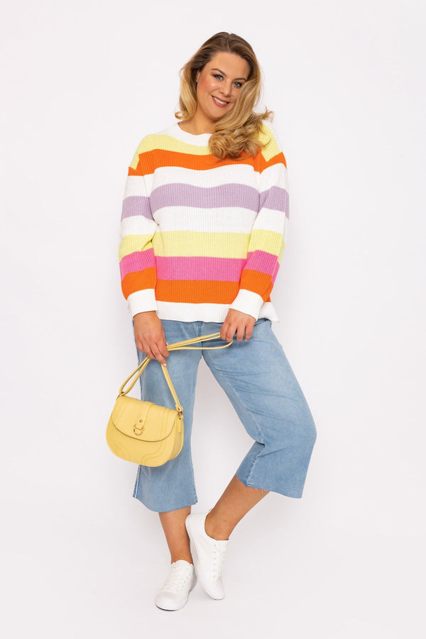 Carraig Donn Oversized Striped Knit Sweater in Multi