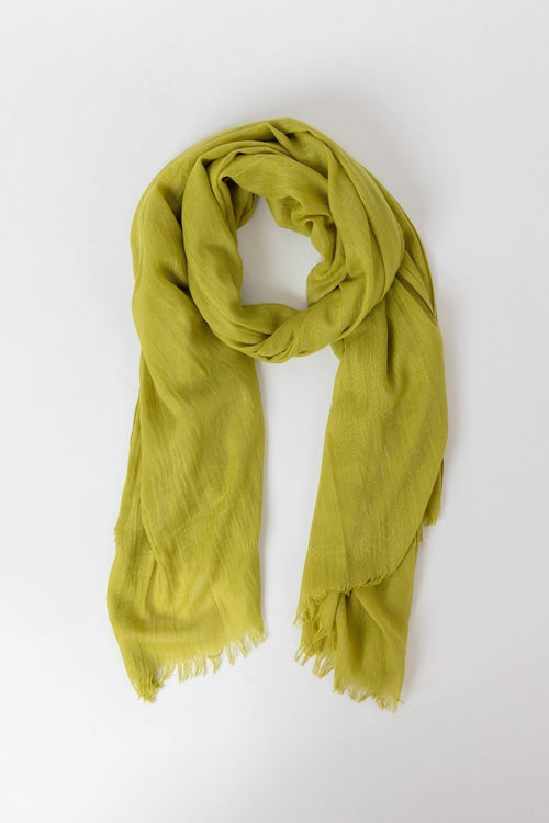 Plain Scarf in Lime