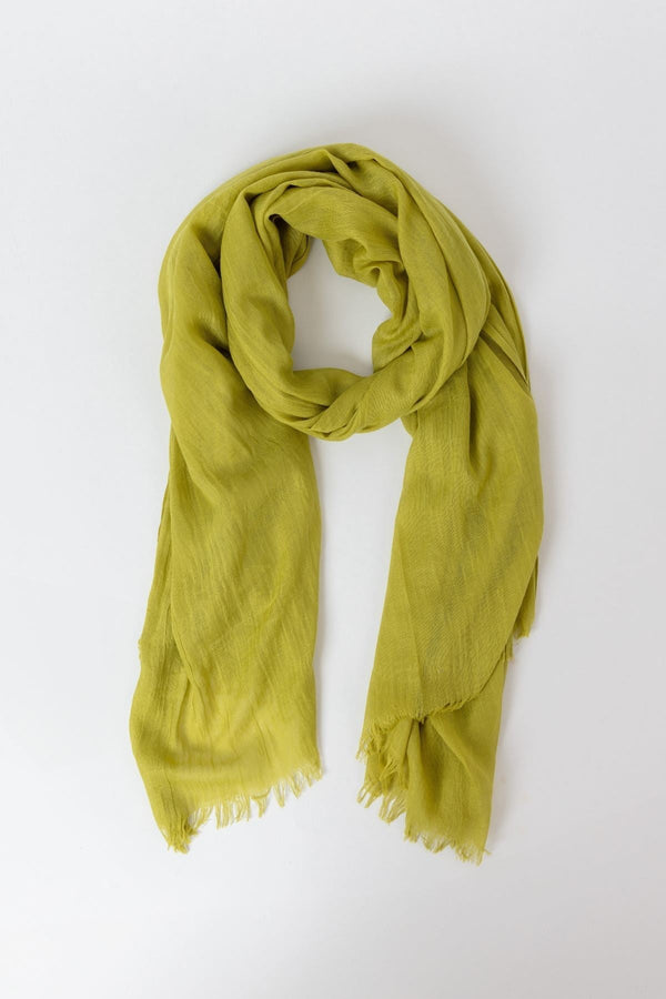 Carraig Donn Plain Scarf in Lime