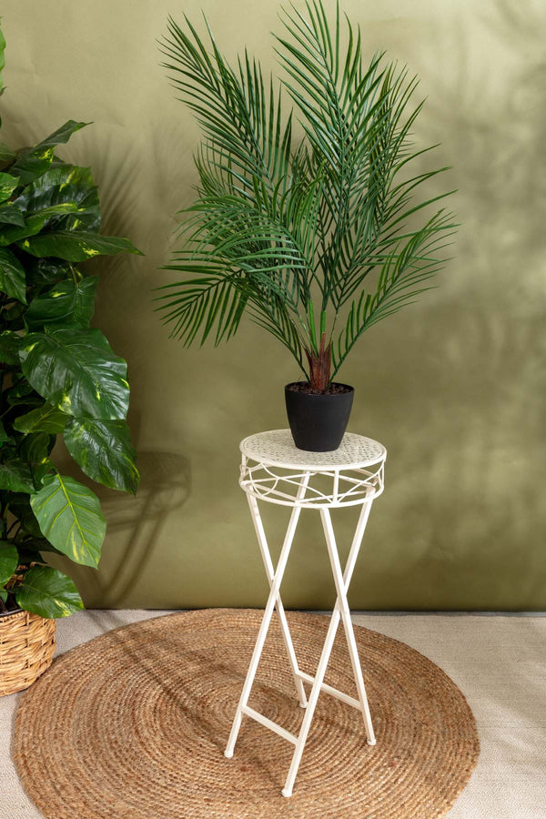 Carraig Donn Plant Stand