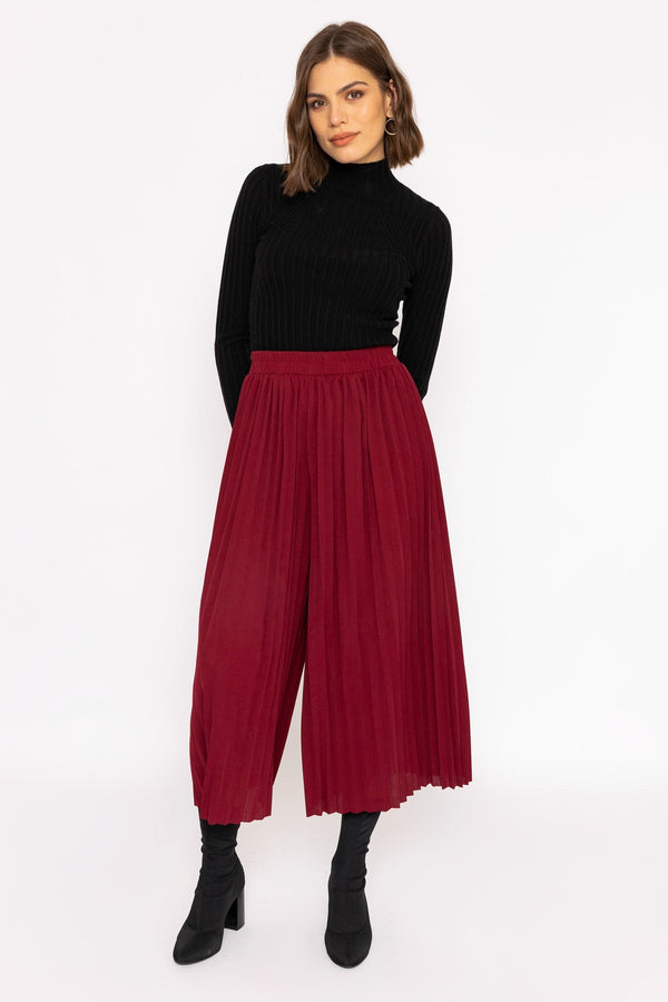 Carraig Donn Pleated Wide Leg Pant in Burgundy