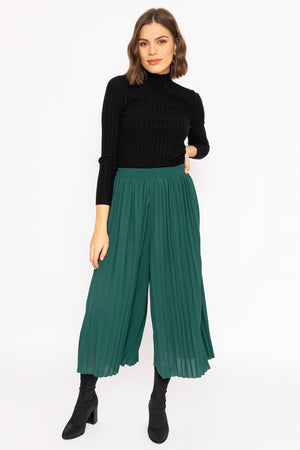 Carraig Donn Pleated Wide Leg Pant in Green