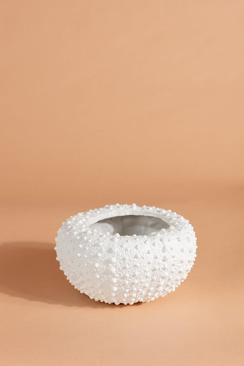 Sea Urchin Planter Large