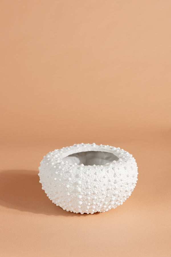 Carraig Donn Sea Urchin Planter Large